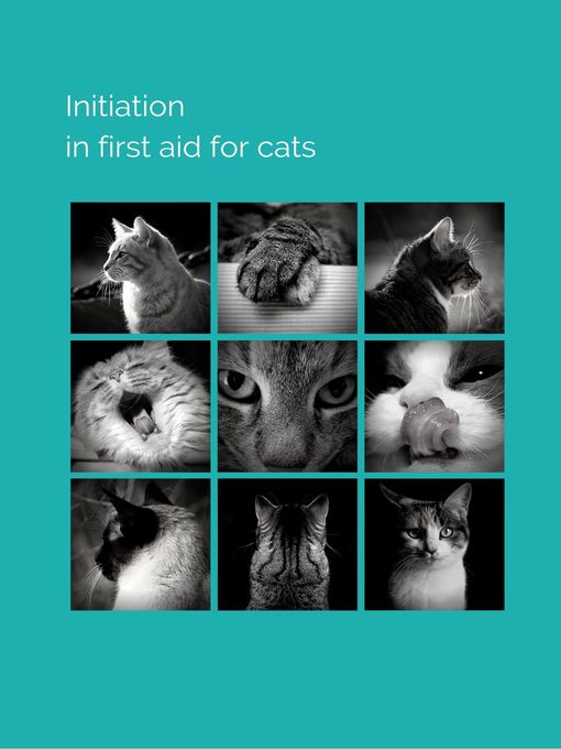 Title details for Initiation in first aid for cats by Jose Manuel Ferro Veiga - Available